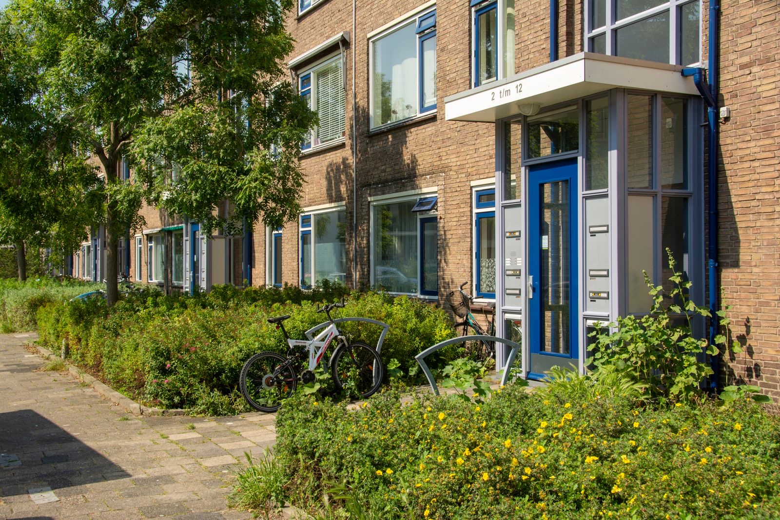 A residential street in the Netherlands with brick houses and bicycles parked outside